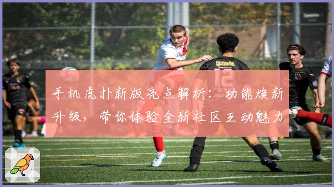 手机虎扑新版亮点解析：功能焕新升级，带你体验全新社区互动魅力