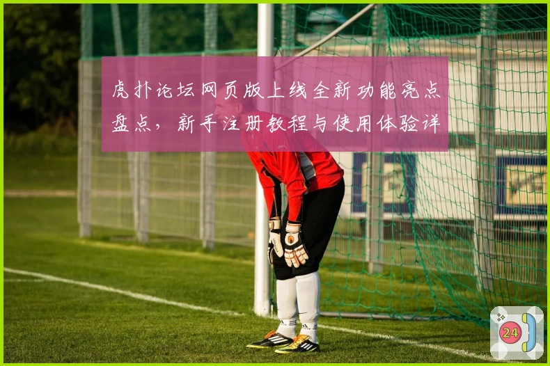 虎扑论坛网页版上线全新功能亮点盘点，新手注册教程与使用体验详解