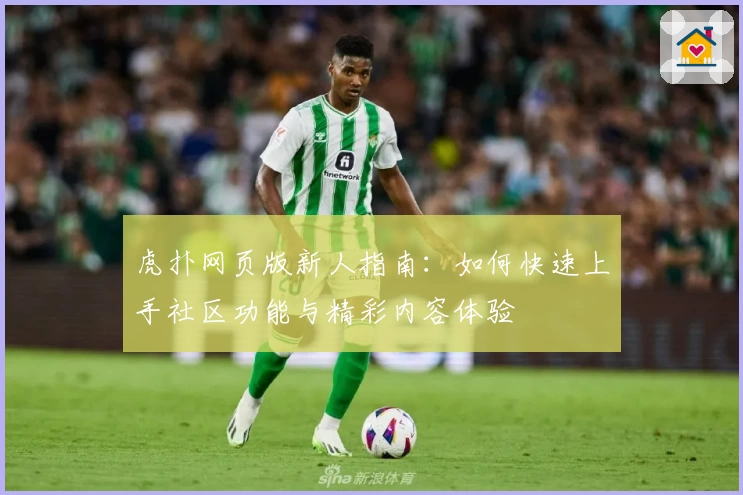 虎扑网页版新人指南：如何快速上手社区功能与精彩内容体验
