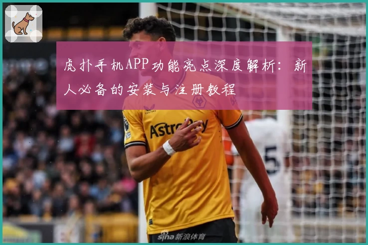 虎扑手机APP功能亮点深度解析：新人必备的安装与注册教程
